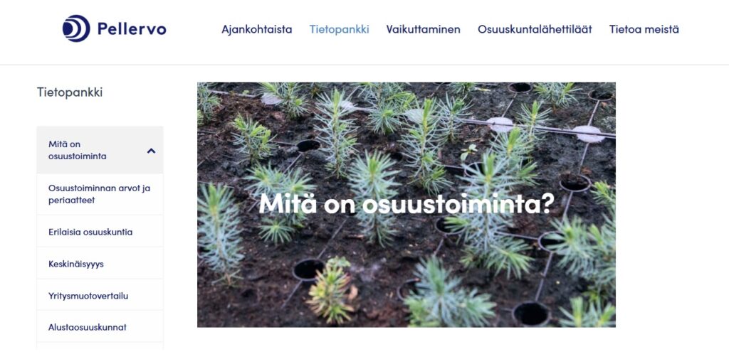 Taimia istutuslaatikossa. Päällä teksti: Mitä on osuuskuntatoiminta?