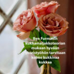 Maljakko, jossa kolme punaista ruusua